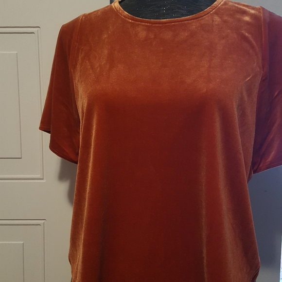 NWT MADEWELL BURNT ORANGE VELVET BUTTERFLY SLEEVE TOP M - Picture 5 of 7
